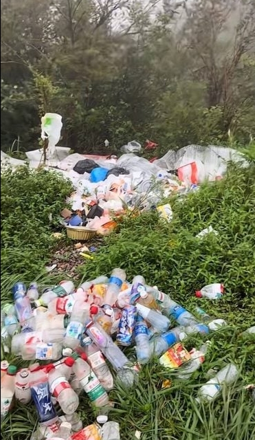 Influencers rent trash to pretend cleaning nature parks cats 4