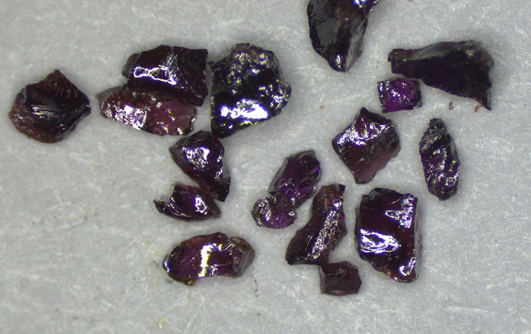 d41586 023 02637 y 25924888
